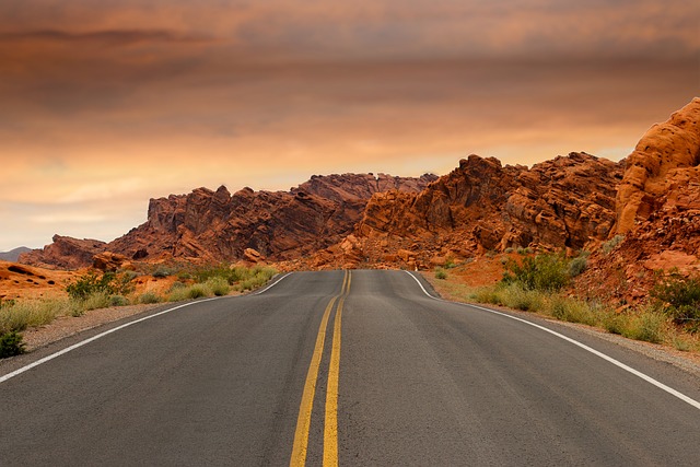 The Art of Road Trips: Crafting Memories on the Open Highway