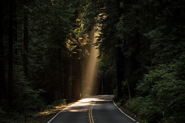 Eco-Friendly Roads: Paving the Way for Sustainable Travel